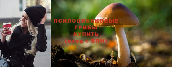 mix Магас