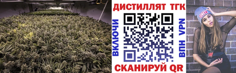 где продают   Ефремов  ТГК THC oil 