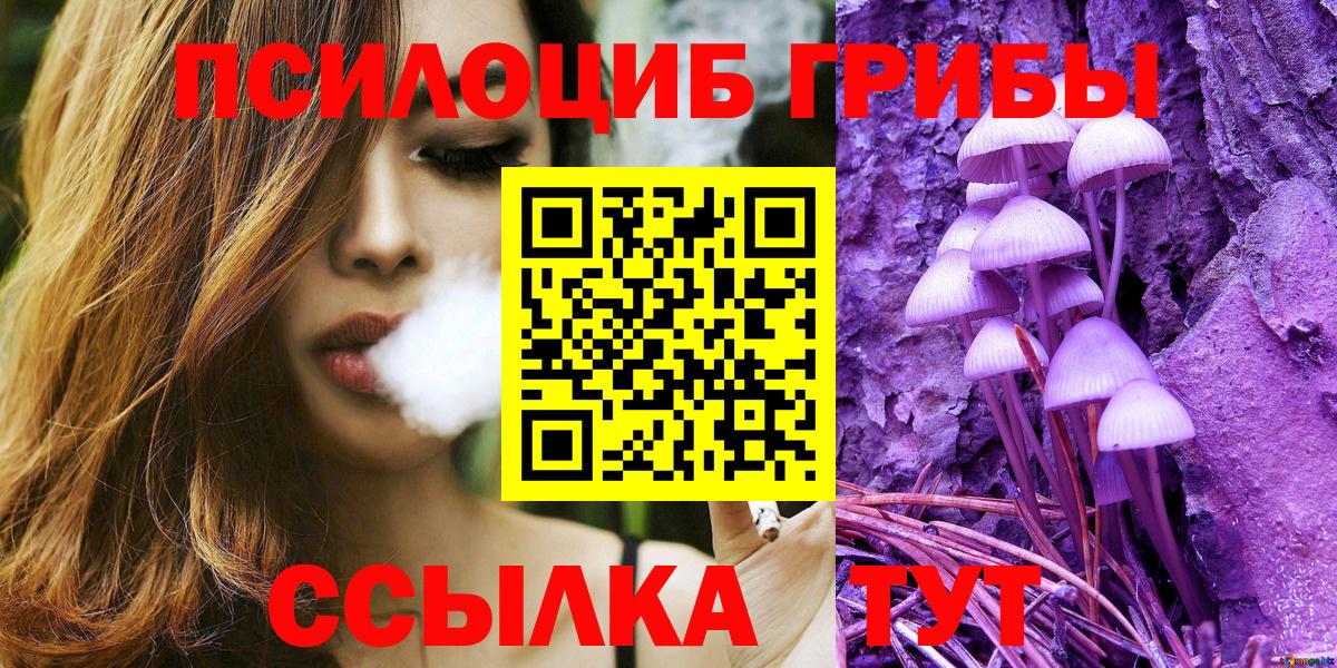 Ефремов  Псилоцибиновые грибы Psilocybine cubensis  Галлюциногенные грибы мицелий  купить наркотики сайты  Вход с VPN 