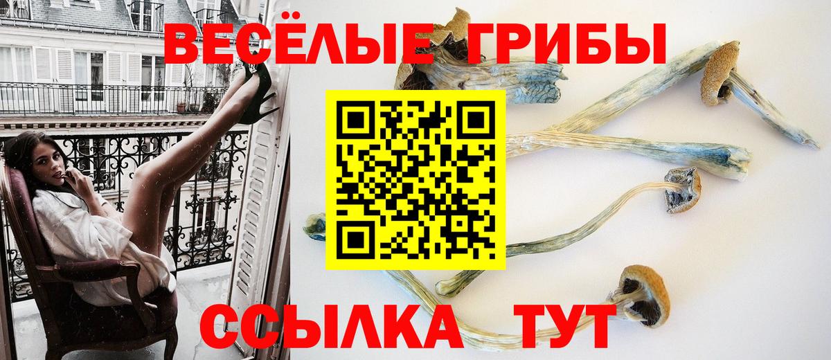 Псилоцибиновые грибы мицелий Ефремов