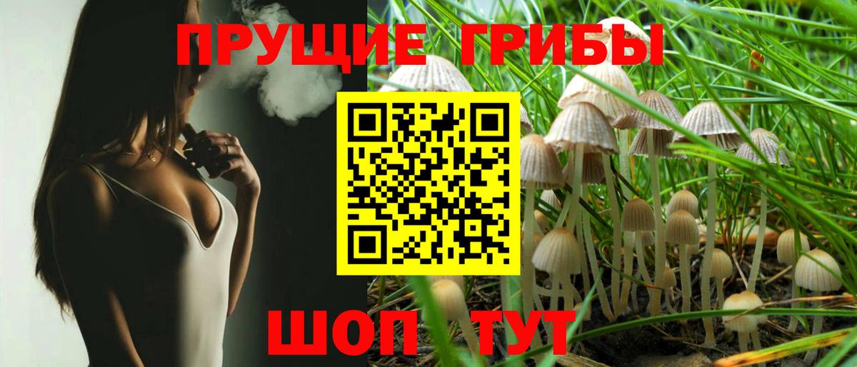 Галлюциногенные грибы Psilocybine cubensis Ефремов