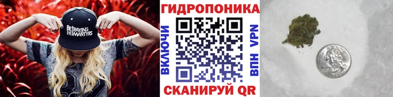 Бошки марихуана индика Ефремов
